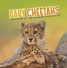 Baby Cheetahs cena un informācija | Bērnu grāmatas | 220.lv