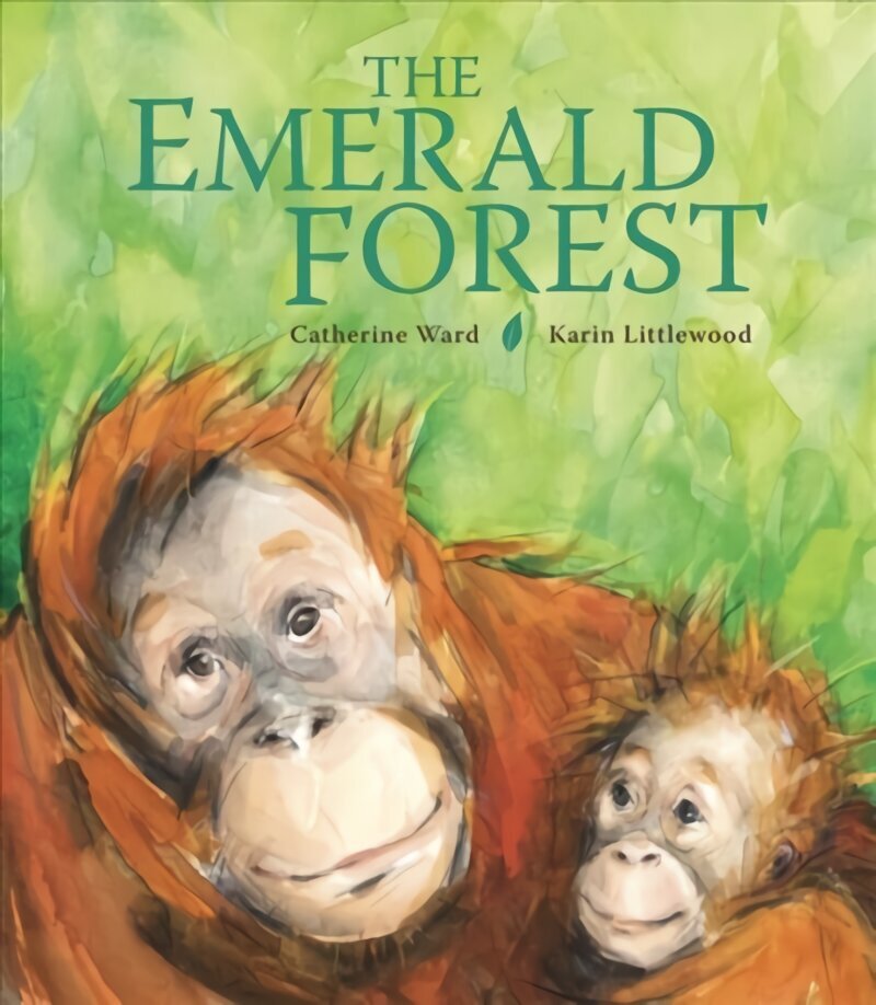 Emerald Forest цена и информация | Grāmatas mazuļiem | 220.lv