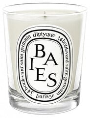 Diptyque Baies - svece 190 g cena un informācija | Sveces un svečturi | 220.lv