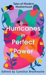 Hurricanes in Perfect Power: Tales of Modern Motherhood cena un informācija | Komiksi | 220.lv