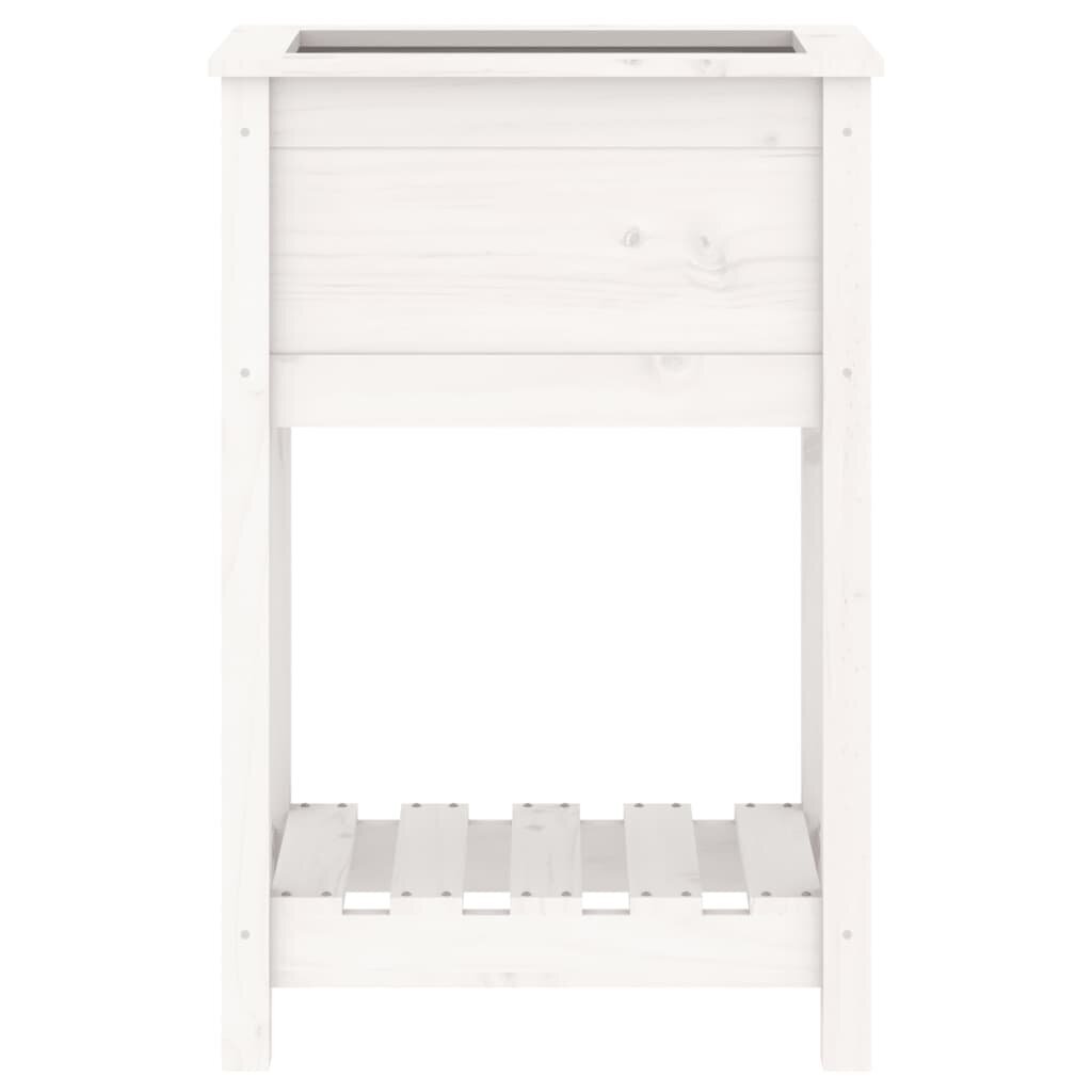 vidaXL puķu kaste ar plauktu, balta, 54x34,5x81 cm, priedes masīvkoks cena un informācija | Balkona kastes | 220.lv