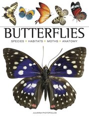 Butterflies cena un informācija | Enciklopēdijas, uzziņu literatūra | 220.lv
