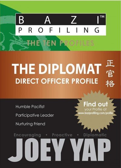 Diplomat: Direct Officer Profile цена и информация | Pašpalīdzības grāmatas | 220.lv