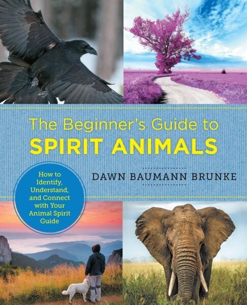 Beginner's Guide to Spirit Animals: How to Identify, Understand, and Connect with Your Animal Spirit Guide cena un informācija | Pašpalīdzības grāmatas | 220.lv