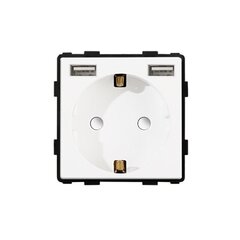 Kontaktligzda ar USB Feelspot FSKL2USB1W цена и информация | Электрические выключатели, розетки | 220.lv