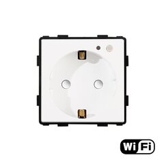 Умная розетка Feelspot FSKLW16W цена и информация | Электрические выключатели, розетки | 220.lv