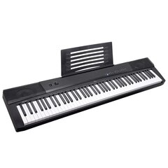 Klavieres MK DP 881 цена и информация | Клавишные музыкальные инструменты | 220.lv