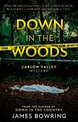 Down in the Woods: A Carlow Valley Mystery cena un informācija | Fantāzija, fantastikas grāmatas | 220.lv