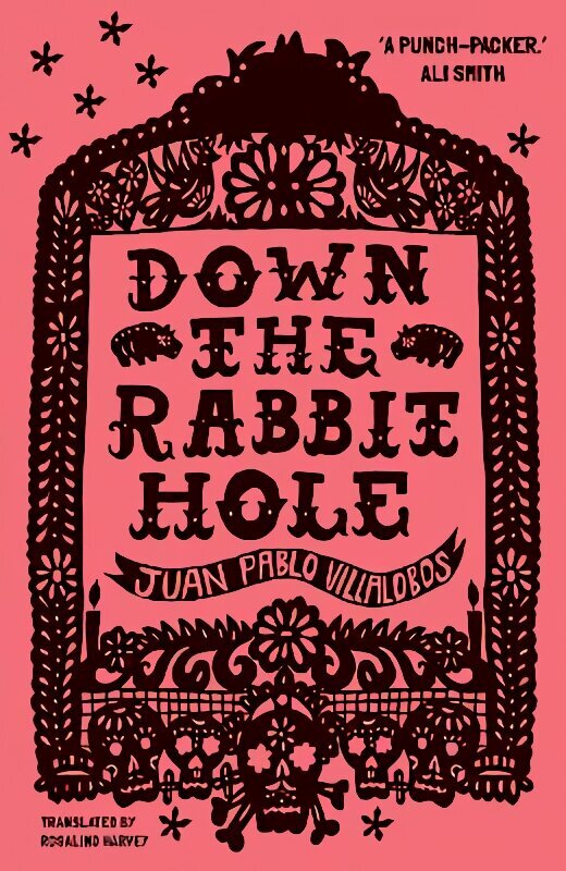 Down the Rabbit Hole: Shortlisted for the 2011 Guardian First Book Award 3rd New edition цена и информация | Fantāzija, fantastikas grāmatas | 220.lv