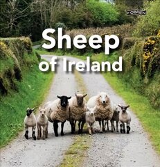 Sheep of Ireland cena un informācija | Grāmatas par veselīgu dzīvesveidu un uzturu | 220.lv