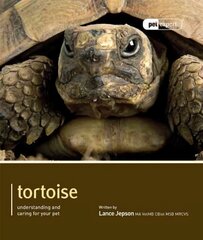 Tortoise - Pet Expert: Understanding and Caring for Your Pet цена и информация | Книги о питании и здоровом образе жизни | 220.lv