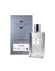 Ķermeņa smaržas Antoine Intense EDT, 100 ml cena un informācija | Vīriešu smaržas | 220.lv