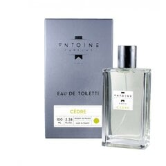 Духи для тела Antoine Cedre EDT, 100 мл цена и информация | Мужские духи | 220.lv