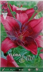 Лилии Purple Dream, 2 шт. цена и информация | Луковичные цветы | 220.lv