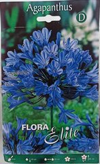 Агапантус, синий цена и информация | Луковичные цветы | 220.lv