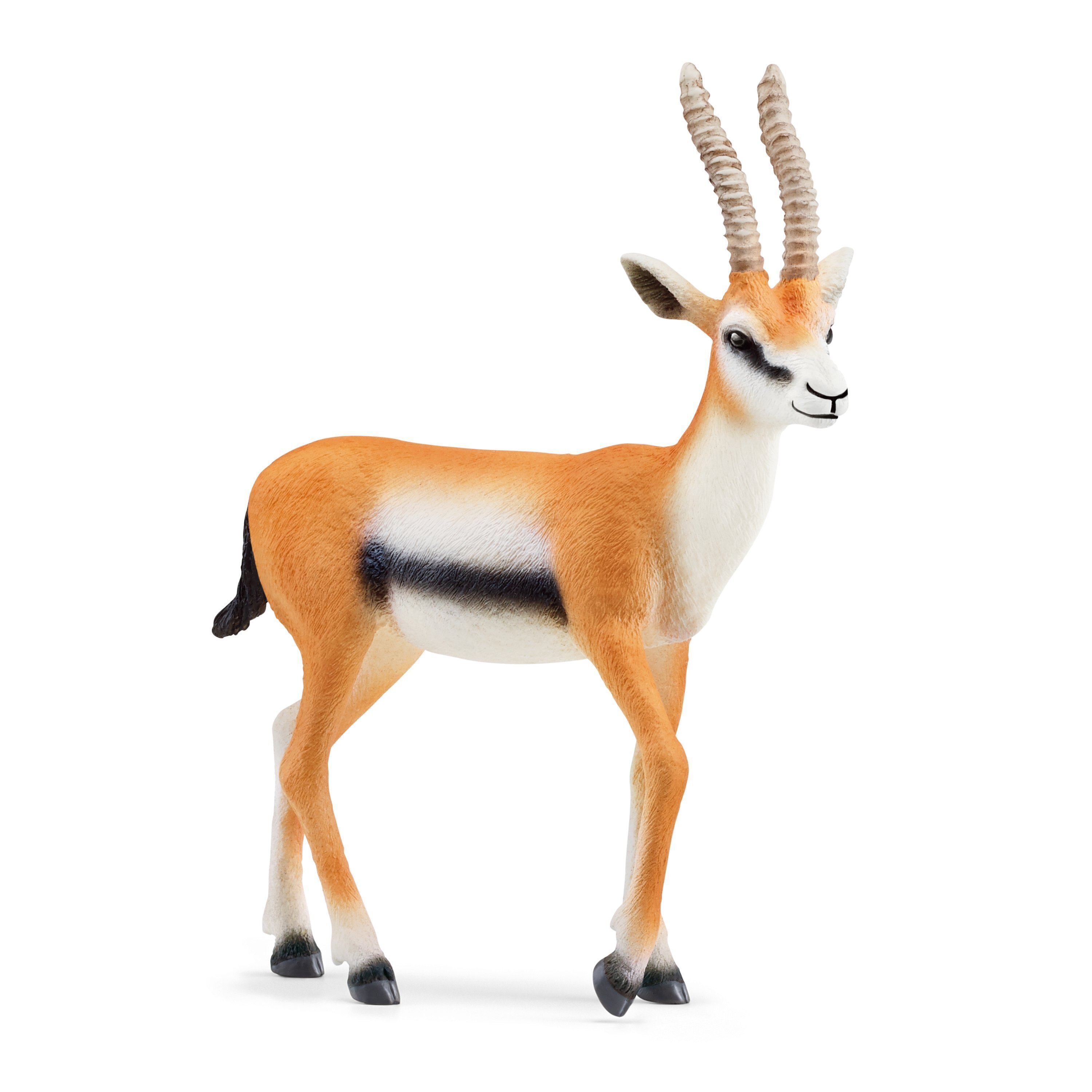 Фигурка Газель Томсона Schleich Wild Life цена | 220.lv