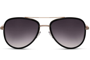 Vīriešu saulesbrilles Label L6259, UV400 cena un informācija | Saulesbrilles  vīriešiem | 220.lv
