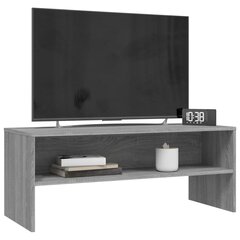 vidaXL TV skapītis, pelēka ozolkoka, 100x40x40 cm, inženierijas koks cena un informācija | TV galdiņi | 220.lv