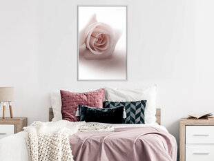 Plakāts Subtle Flower, Balts rāmis, 20x30 цена и информация | Картины | 220.lv
