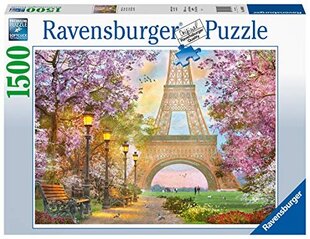 Puzle Ravensburger Parīze, 1500 d. cena un informācija | Puzles, 3D puzles | 220.lv