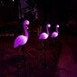 Dārza lampas ar saules paneli LED - flamingo цена и информация | Āra apgaismojums | 220.lv