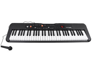 Детский синтезатор SD-S850 с микрофоном и 61 клавишей цена и информация | Развивающие игрушки | 220.lv