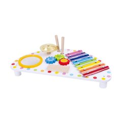 Деревянный музыкальный центр Tooky Toy для детей цена и информация | Развивающие игрушки | 220.lv