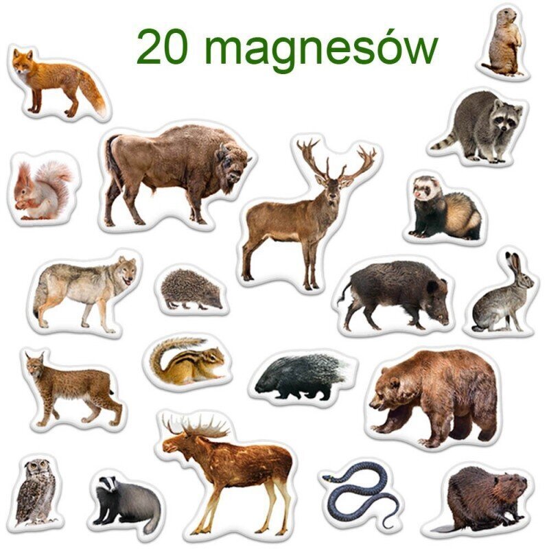 Magnētu komplekts Forest Inhabitants MV 6032-09, 20 gab. цена и информация | Attīstošās rotaļlietas | 220.lv