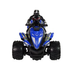 RC Car Quad Rock kāpurķēžu motocikls 1:12 2,4G, zils cena un informācija | Rotaļlietas zēniem | 220.lv