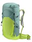 Soma DEUTER Speed Lite 30 Jade Citrus cena un informācija | Pārgājienu un ceļojumu mugursomas | 220.lv