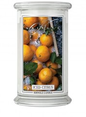 Свеча Kringle Candle Iced Citrus, 623 г цена и информация | Подсвечники, свечи | 220.lv