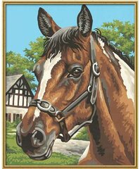 Gleznošana pēc numuriem Schipper KIDS Horse Portrait MNZ, 24 x 30 cm cena un informācija | Gleznas pēc numuriem | 220.lv