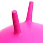 Bumba METEOR 65 cm rozā cena un informācija | Vingrošanas bumbas | 220.lv