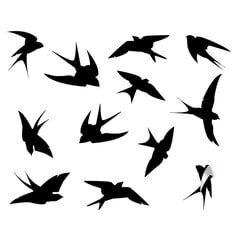 Vinila sienas uzlīmes Flying Birds Interjera dekors - 12 gab. cena un informācija | Dekoratīvās uzlīmes | 220.lv