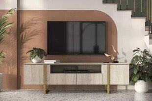 ТВ столик Bogart Verica 200, коричневый цвет цена и информация | Тумбы под телевизор | 220.lv