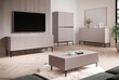 TV galdiņš Bogart Nicole 150, smilškrāsas cena un informācija | TV galdiņi | 220.lv