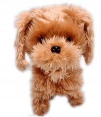 Интерактивная собака на поводке. цена и информация | Мягкие игрушки | 220.lv