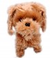 Interaktīvs suns pie pavadas, brūns cena un informācija | Mīkstās (plīša) rotaļlietas | 220.lv