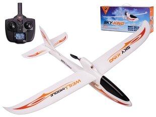 Samolot RC WLtoys Sky King F959S 2,4GHz цена и информация | Игрушки для мальчиков | 220.lv