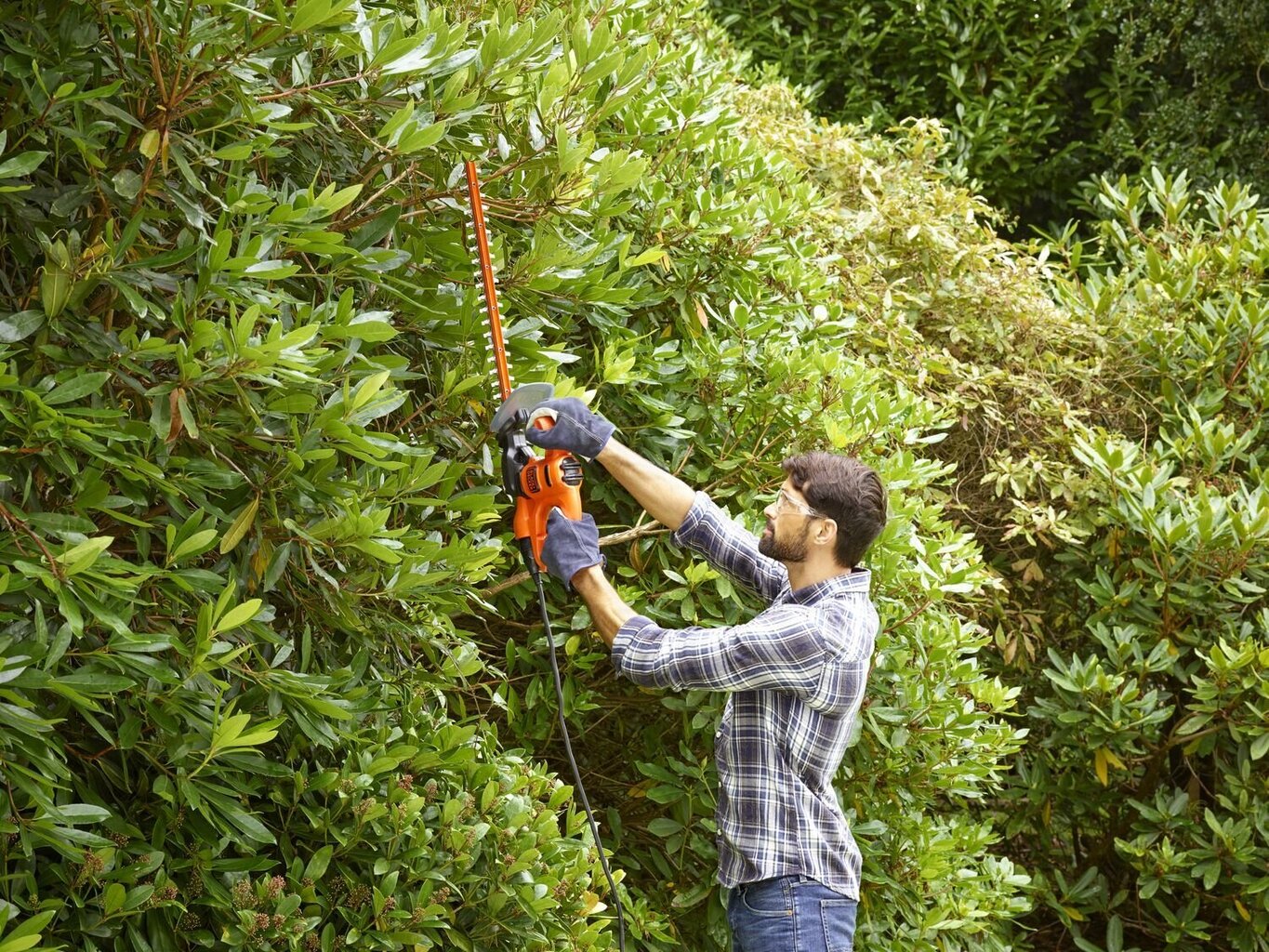 Black&Decker dzīvžogu šķēres cena un informācija | Dzīvžogu un zāles šķēres | 220.lv