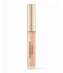 Maskējošs līdzeklis Dr Irena Eris Illuminating Concealer 02 Nude, 1,7 ml cena un informācija | Grima bāzes, tonālie krēmi, pūderi | 220.lv