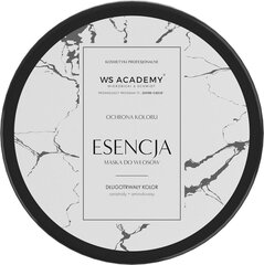 Маска для окрашенных волос WS Academy, 250 мл цена и информация | Распылите крем-спрей на волосы на расстоянии 20-25 см, расчешите их расческой. | 220.lv