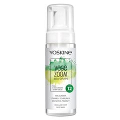 Micelārās sejas mazgāšanas putas Yoskine Vege Zoom Sea Grape, 160 ml cena un informācija | Sejas ādas kopšana | 220.lv