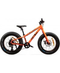 Велосипед Baana Fat SE, 20" цена и информация | Велосипеды | 220.lv