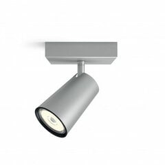 LED lampa Philips Paisley (10,2 x 10,2 x 9,2 cm) cena un informācija | Griestu lampas | 220.lv