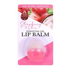 Lūpu balzams Difeel Essential Oil Lip Balm ar ēteriskajām eļļām Strawberry& Shea, 7,5 g cena un informācija | Lūpu krāsas, balzāmi, spīdumi, vazelīns | 220.lv