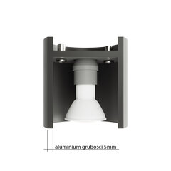 Griestu lampa Nesi цена и информация | Потолочные светильники | 220.lv