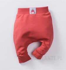 Штаны для мальчика Nini цена и информация | Штаны Pinokio | 220.lv