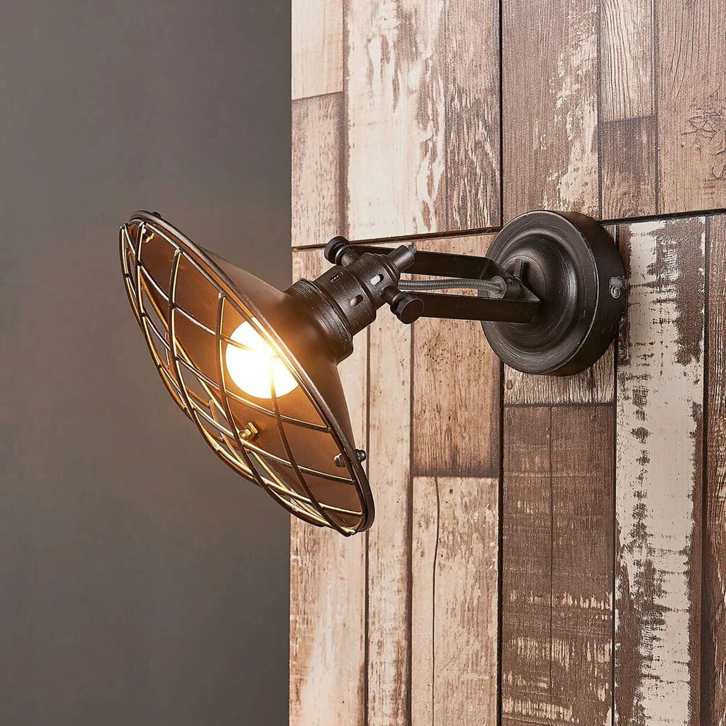Pekka - sieninis šviestuvas su tinkliniu gaubtu cena un informācija | Sienas lampas | 220.lv