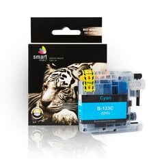 Brother LC123C, синий цена и информация | Картриджи для струйных принтеров | 220.lv